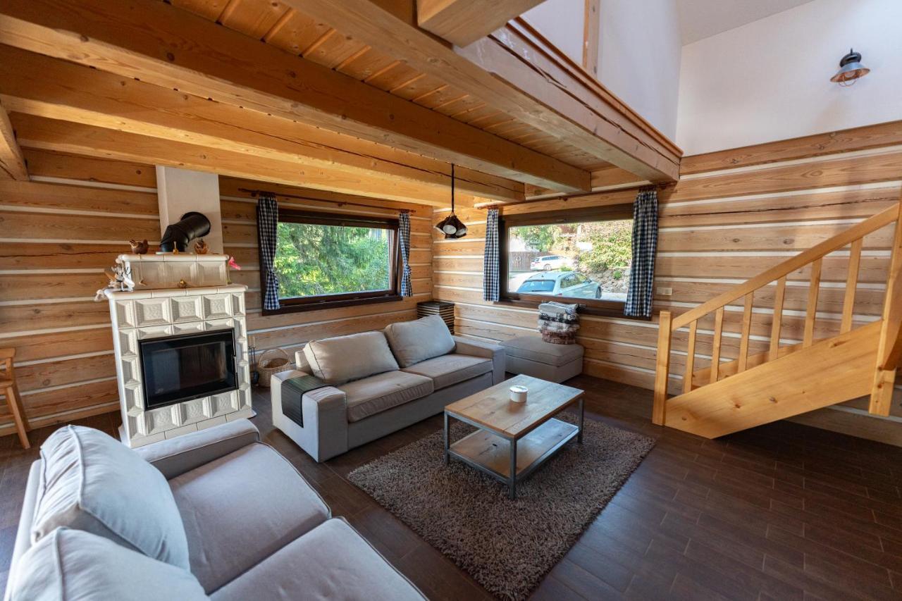Villa Moderni Sumavska Roubenka S Vyhledem Na Boubin à Vimperk Extérieur photo