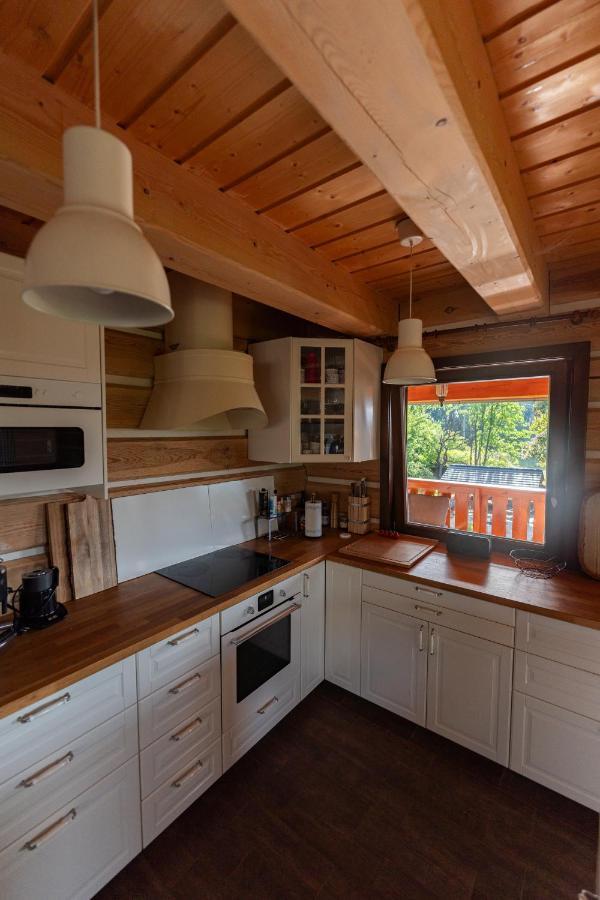 Villa Moderni Sumavska Roubenka S Vyhledem Na Boubin à Vimperk Extérieur photo